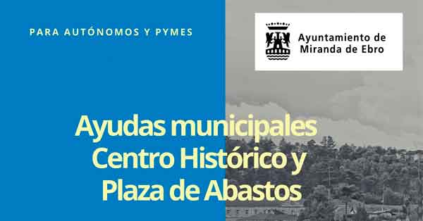 Ayudas municipales a actividades en Centro Histórico y Plaza de Abastos